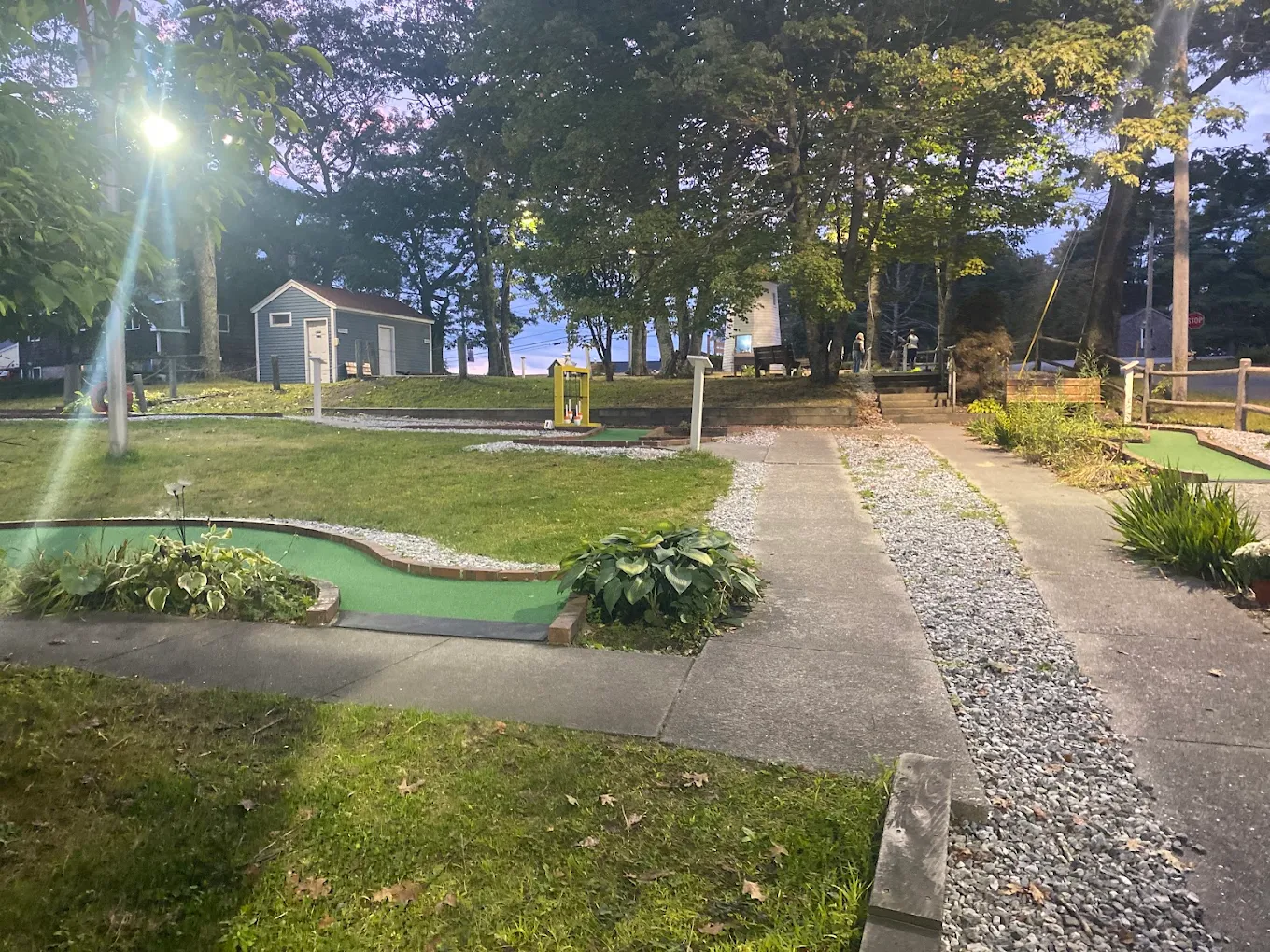 Dolphin Mini Golf course at sunset